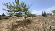 24 sot Torpaq, Satış, Bakı, Sabunçu