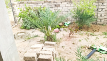 3 otaqlı Villa / Həyət evi, Satış, Bakı, Sabunçu, Koroğlu