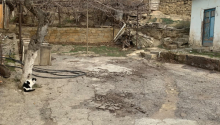 4 sot Torpaq, Satış, Bakı, Qaradağ