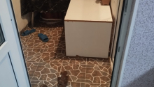 3 otaqlı Yeni tikili, Satış, Bakı, Binəqədi, Memar Əcəmi