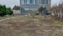 5 otaqlı Bağ evləri, Satış, Bakı, Sabunçu