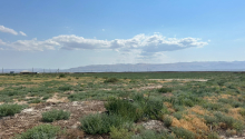 511 sot Torpaq, Satış, Xızı