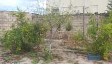 2 sot Torpaq, Satış, Bakı, Sabunçu, Koroğlu