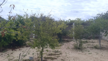2 sot Torpaq, Satış, Bakı, Sabunçu, Koroğlu