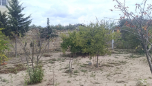 2 sot Torpaq, Satış, Bakı, Sabunçu, Koroğlu
