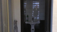 3 otaqlı Ofis, Satış, Bakı, Yasamal