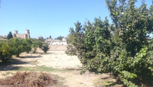12 sot Torpaq, Satış, Bakı, Sabunçu, Koroğlu
