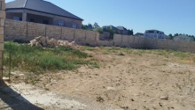 8 sot Torpaq, Satış, Abşeron