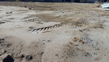 6 sot Torpaq, Satış, Sumqayıt