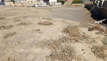 6 sot Torpaq, Satış, Sumqayıt