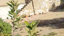 5 otaqlı Villa / Həyət evi, Satış, Bakı, Sabunçu