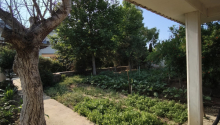 5 otaqlı Bağ evləri, Satış, Bakı, Xəzər