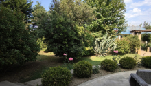 5 otaqlı Bağ evləri, Satış, Bakı, Xəzər