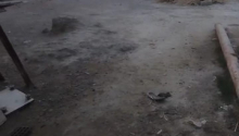 1 sot Torpaq, Satış, Bakı, Sabunçu