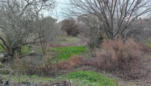 3 sot Torpaq, Satış, Bakı, Xətai