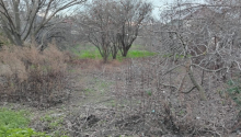 3 sot Torpaq, Satış, Bakı, Xətai