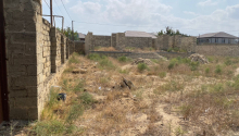 10 sot Torpaq, Satış, Bakı, Sabunçu