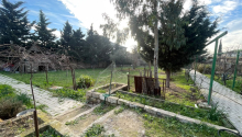 9 sot Torpaq, Satış, Bakı, Xəzər, Koroğlu