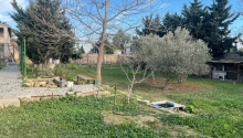 9 sot Torpaq, Satış, Bakı, Xəzər, Koroğlu