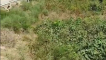 7 sot Torpaq, Satış, Bakı, Sabunçu