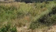 7 sot Torpaq, Satış, Bakı, Sabunçu
