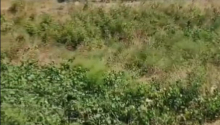 7 sot Torpaq, Satış, Bakı, Sabunçu