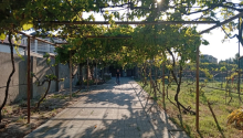 12 sot Torpaq, Satış, Bakı, Sabunçu
