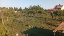 12 sot Torpaq, Satış, Bakı, Sabunçu