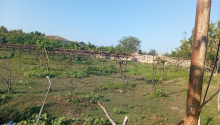 12 sot Torpaq, Satış, Bakı, Sabunçu