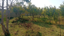 21 sot Torpaq, Satış, Bakı, Sabunçu