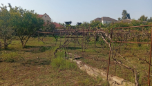 21 sot Torpaq, Satış, Bakı, Sabunçu