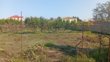 21 sot Torpaq, Satış, Bakı, Sabunçu