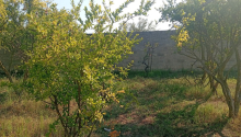 21 sot Torpaq, Satış, Bakı, Sabunçu