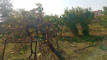21 sot Torpaq, Satış, Bakı, Sabunçu