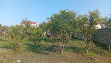 21 sot Torpaq, Satış, Bakı, Sabunçu