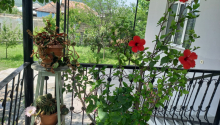 3 otaqlı Bağ evləri, Kirayə (gündəlik), Şəki