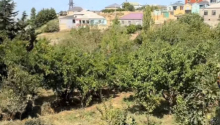 5 otaqlı Villa / Həyət evi, Satış, Abşeron