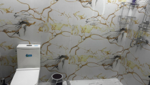 4 otaqlı Villa / Həyət evi, Kirayə (aylıq), Qəbələ