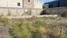14 sot Torpaq, Satış, Bakı, Xəzər, Koroğlu