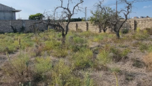 14 sot Torpaq, Satış, Bakı, Xəzər, Koroğlu