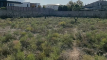 14 sot Torpaq, Satış, Bakı, Xəzər, Koroğlu