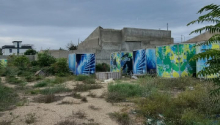 16 sot Torpaq, Satış, Bakı, Xəzər, Koroğlu
