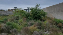 16 sot Torpaq, Satış, Bakı, Xəzər, Koroğlu