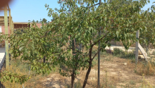 3 otaqlı Villa / Həyət evi, Satış, Bakı, Xəzər, Koroğlu