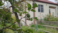 15 sot Torpaq, Satış, Bakı, Xəzər, Koroğlu