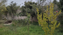 15 sot Torpaq, Satış, Bakı, Xəzər, Koroğlu