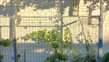 3 otaqlı Villa / Həyət evi, Satış, Bakı, Xətai, Həzi Aslanov