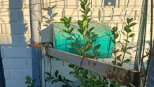 3 otaqlı Villa / Həyət evi, Satış, Bakı, Xətai, Həzi Aslanov
