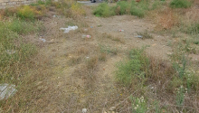 6 sot Torpaq, Satış, Bakı, Səbail