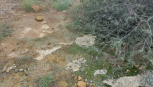 7 sot Torpaq, Satış, Bakı, Səbail